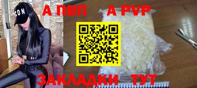 стафф Шебекино