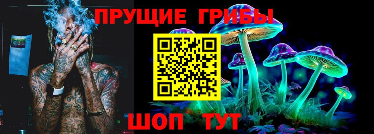 Галлюциногенные грибы Psilocybe  Галлюциногенные грибы мухоморы  Курчатов  Вход с VPN 